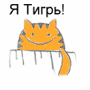 Feline